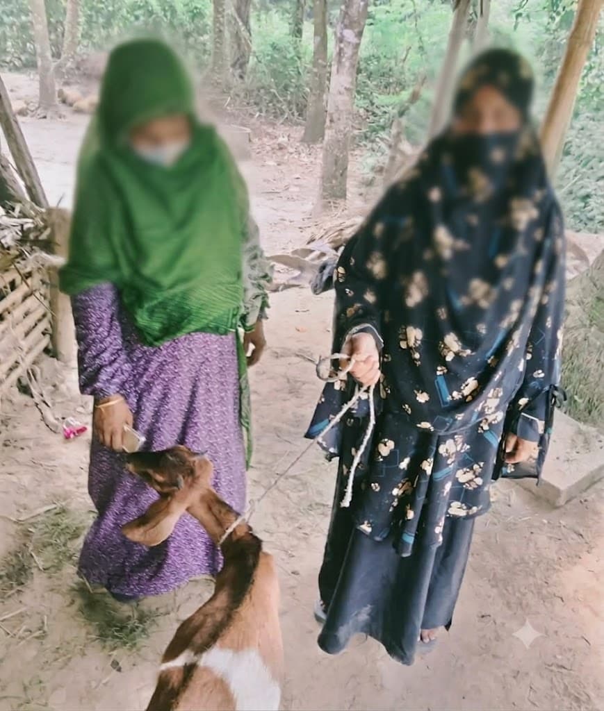 হাসিনা