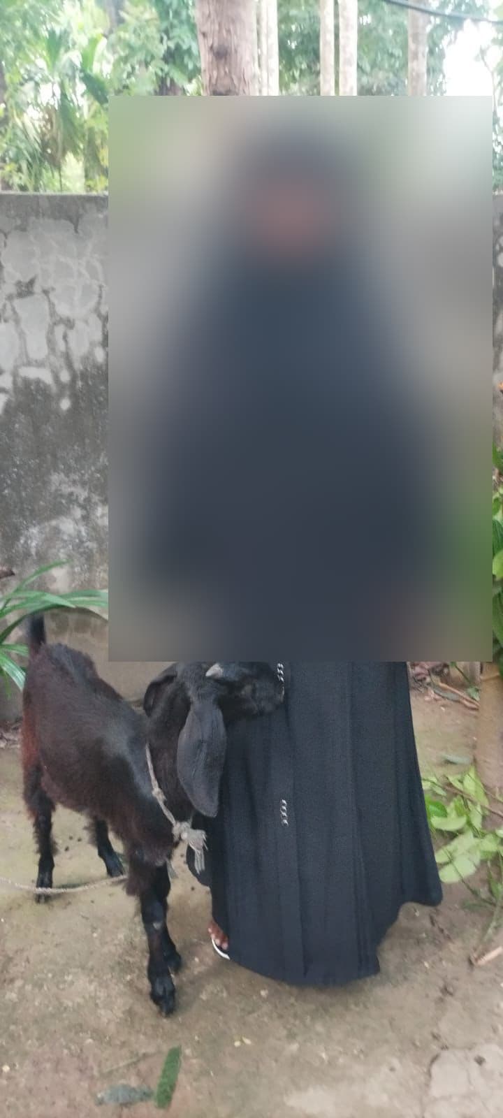 জরিনা খাতুন