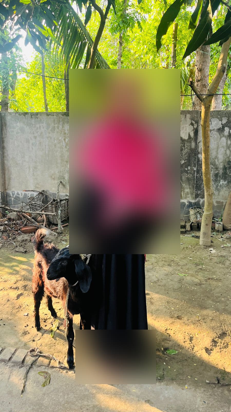 পলি খাতুন