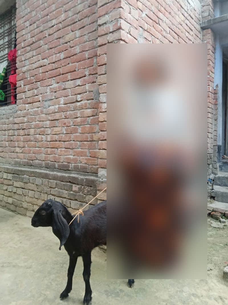 আলেয়া