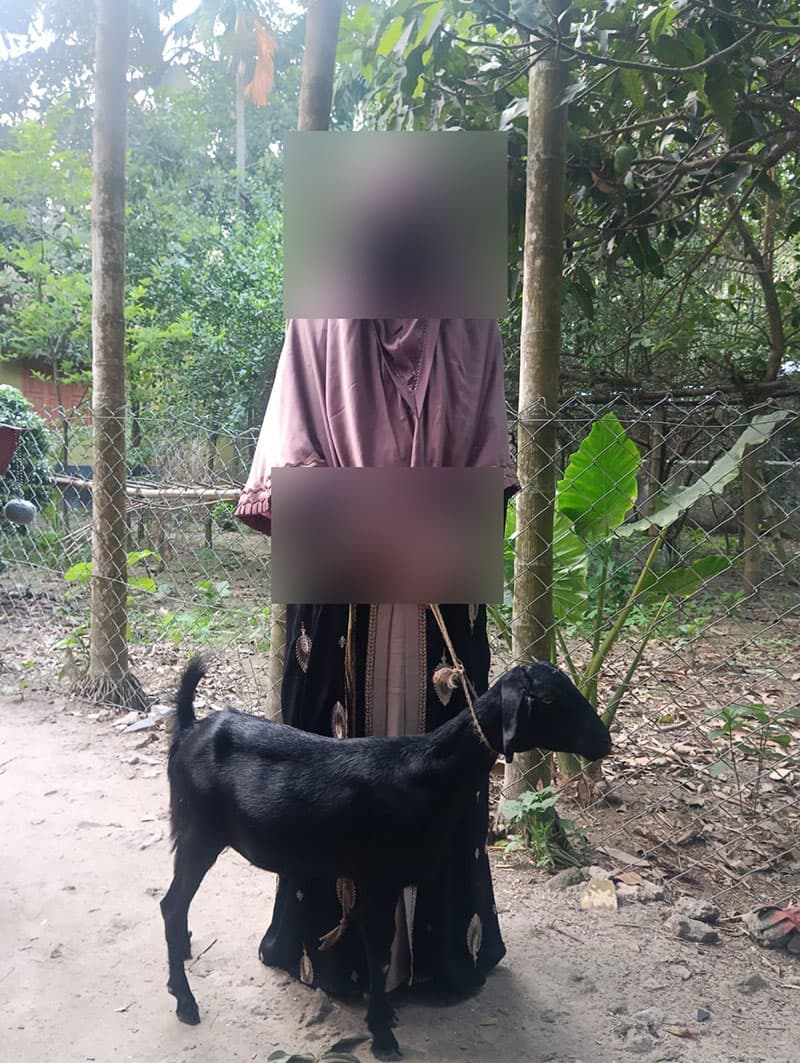 আরজিনা