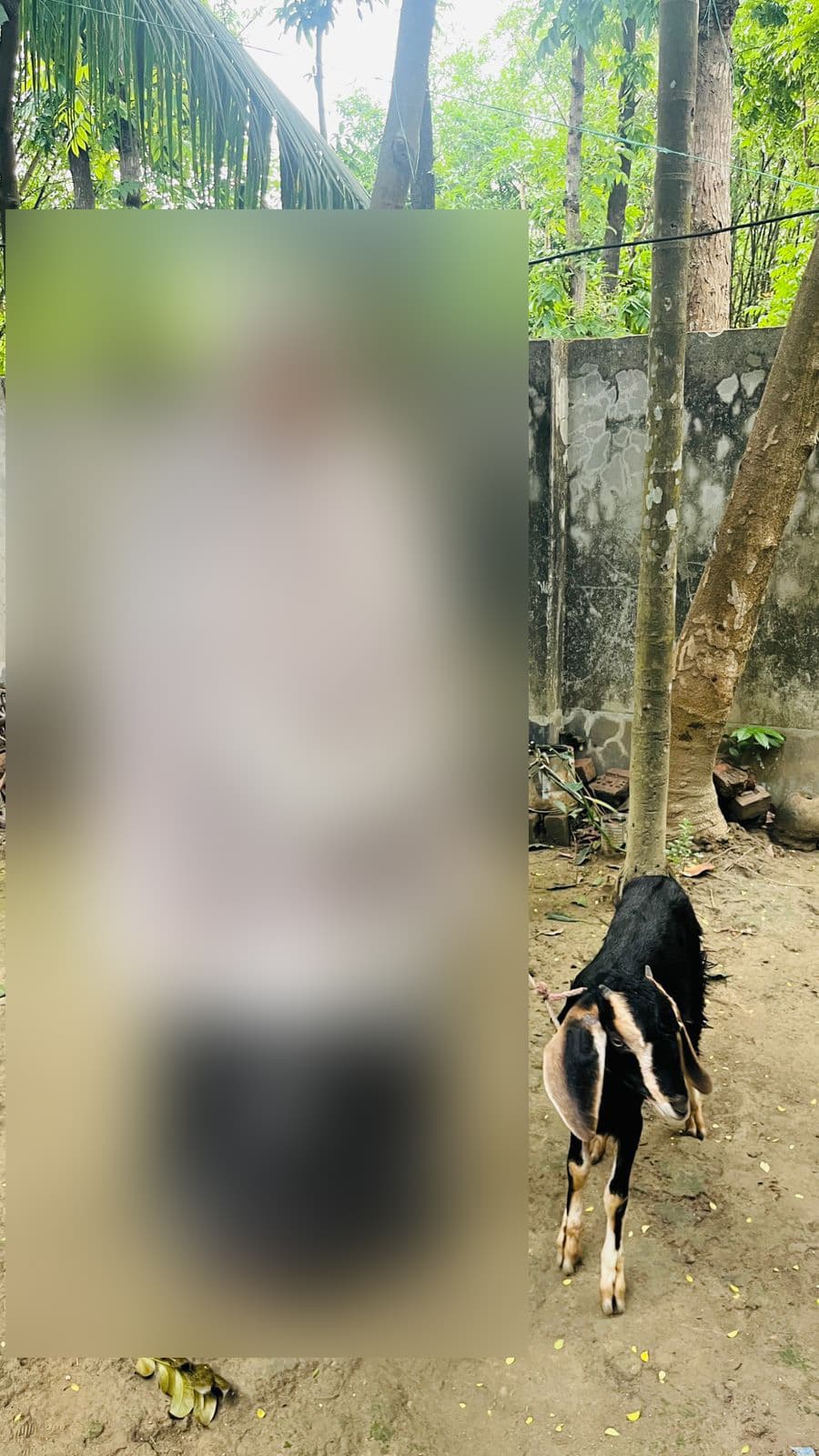 সোহাগী খাতুন