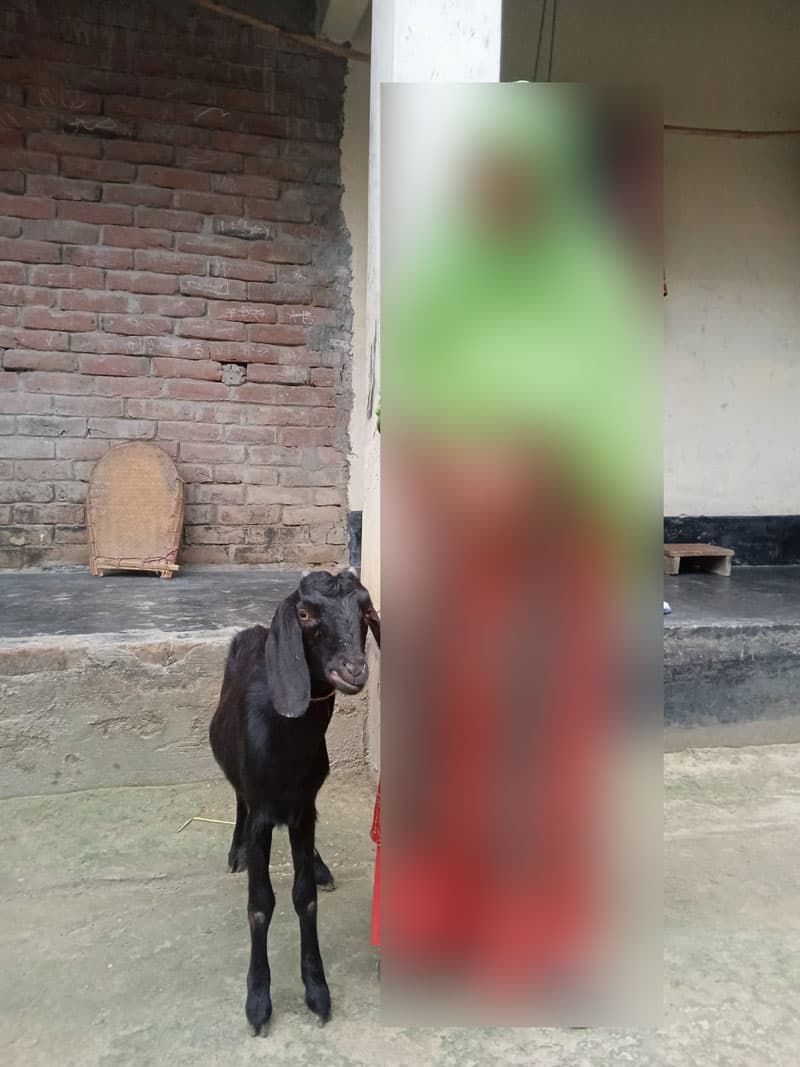 রাবেয়া