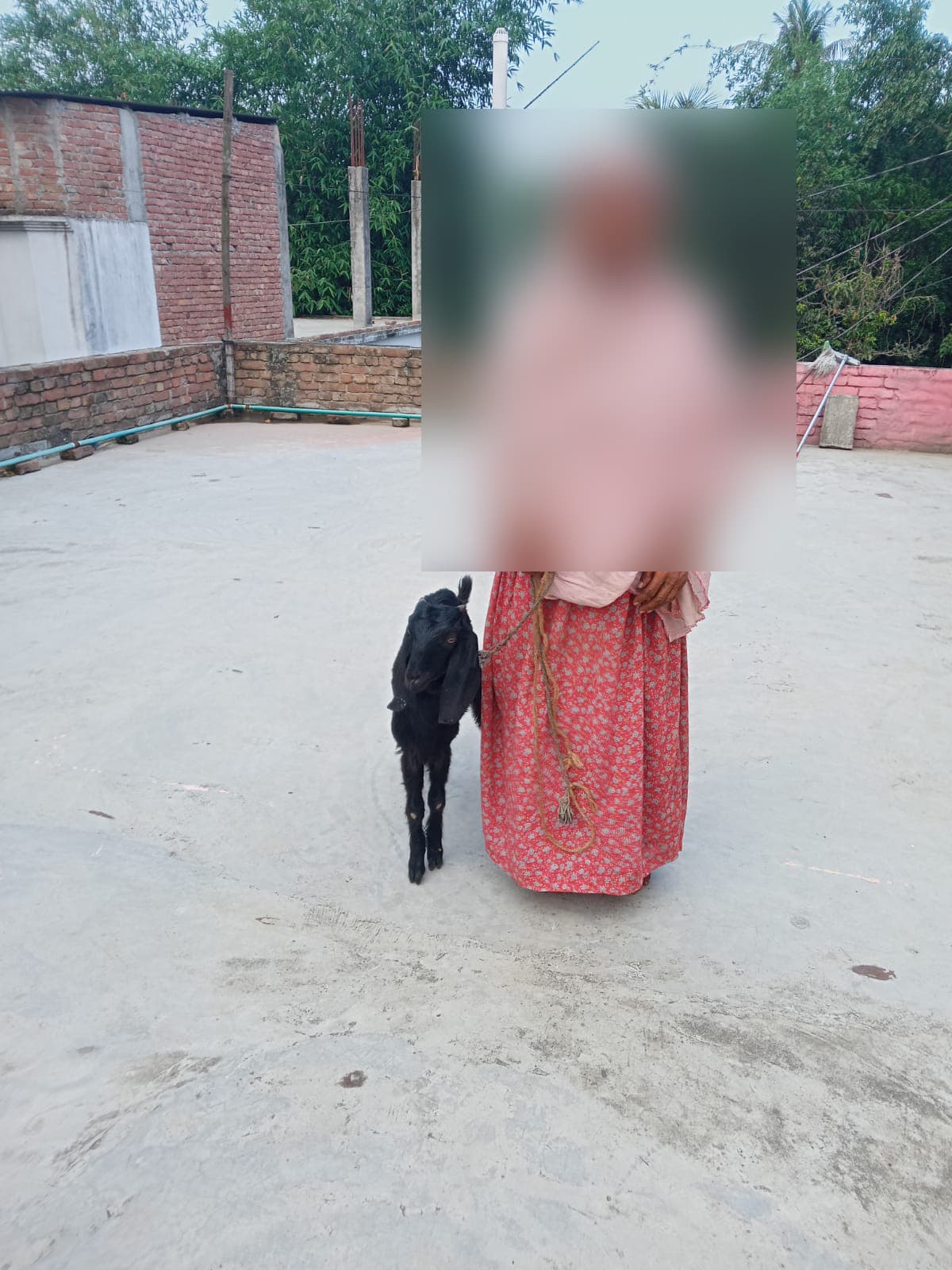 চাইনা