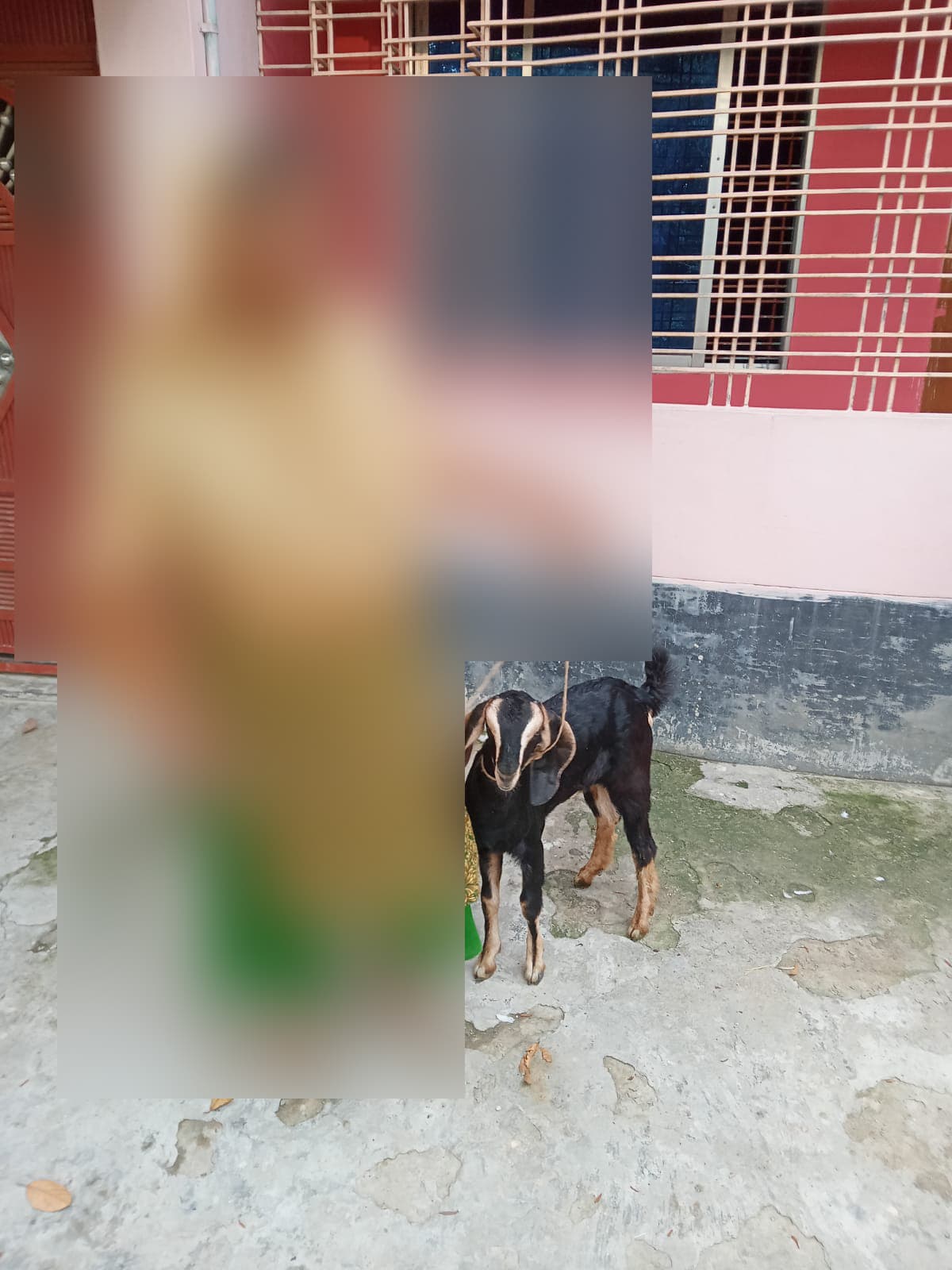 সখিনা