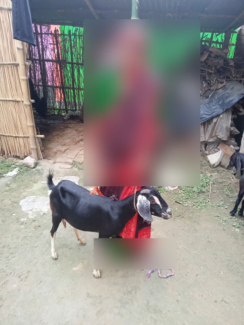 সাহারা