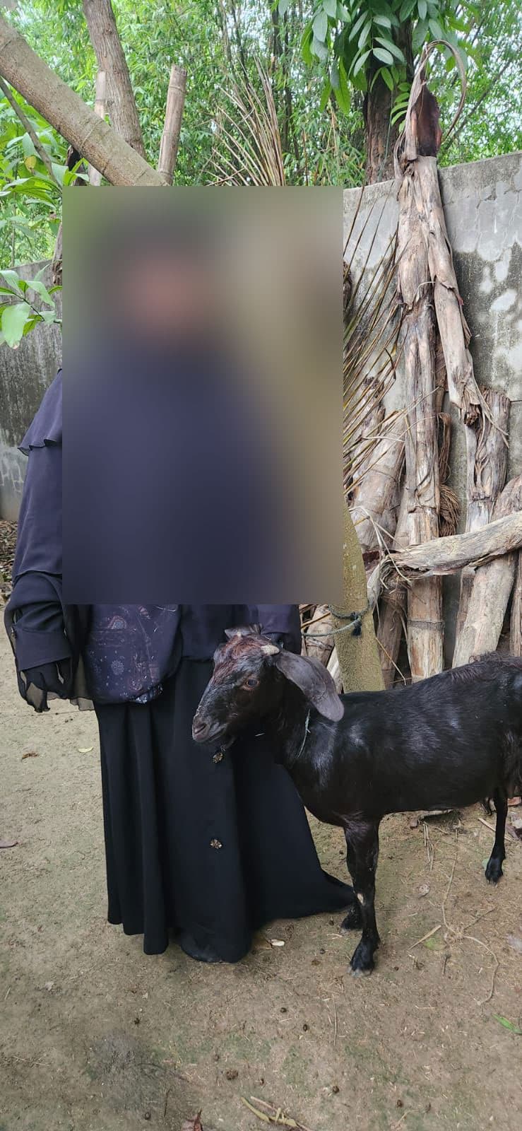 জান্নাতি
